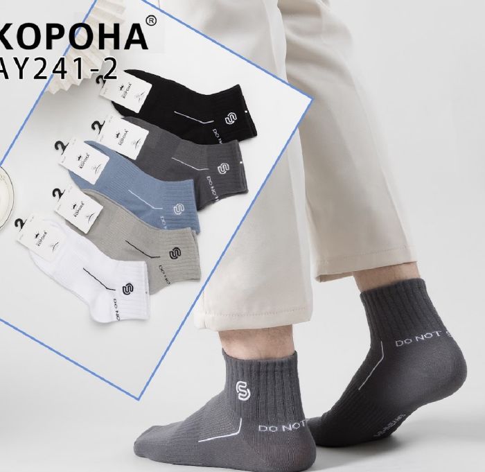 Шкарпетки Чоловічі №241-2 (уп 10шт) бавовна низьки