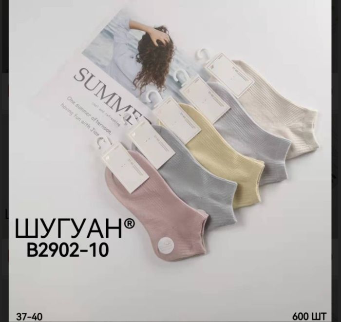 Шкарпетки Жіночі №2902 (уп 10 шт)