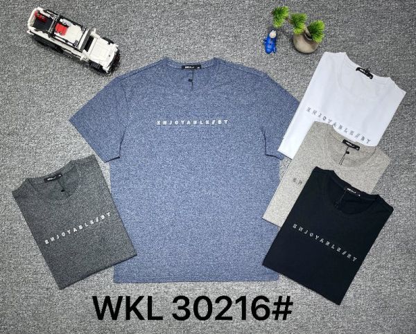 Футболка Чоловіча №30216 Б