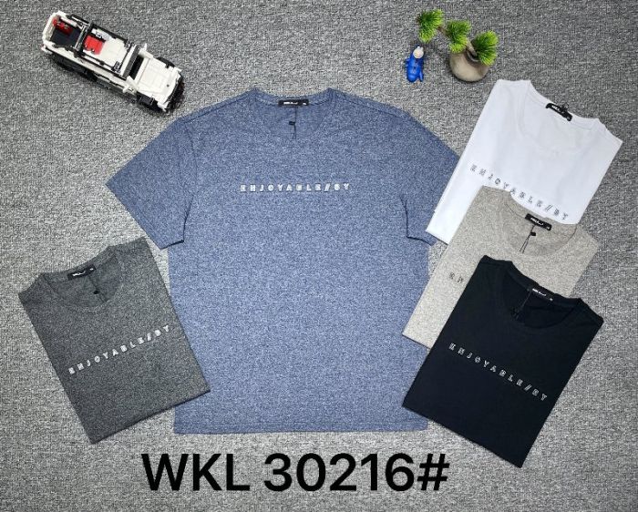 Футболка Чоловіча №30216 Б