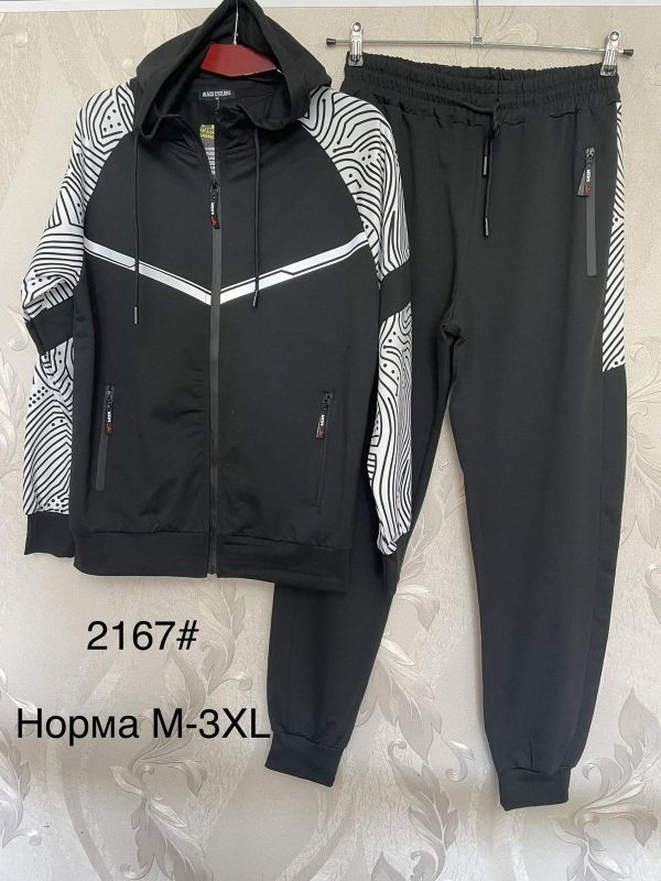 Спортивний костюм чоловічий №2167