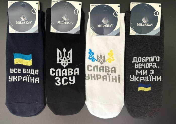 Шкарпетки Чоловічі Спорт S185 (уп 12 шт)